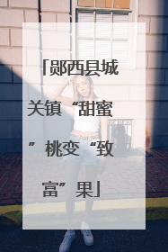 郧西县城关镇“甜蜜”桃变“致富”果