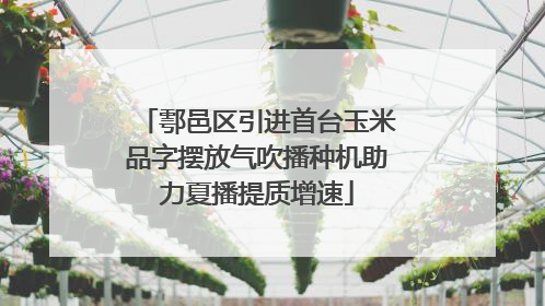 鄠邑区引进首台玉米品字摆放气吹播种机助力夏播提质增速