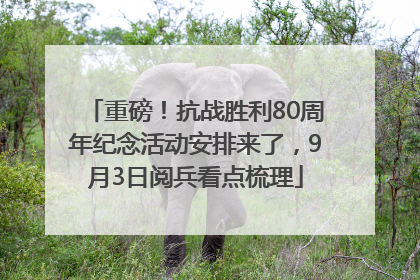 重磅！抗战胜利80周年纪念活动安排来了，9月3日阅兵看点梳理