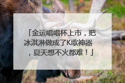 金运唱唱杯上市，把冰淇淋做成了K歌神器，夏天想不火都难！