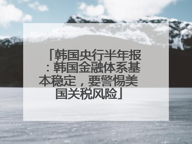 韩国央行半年报：韩国金融体系基本稳定，要警惕美国关税风险