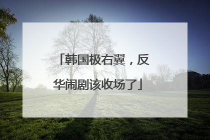 韩国极右翼，反华闹剧该收场了
