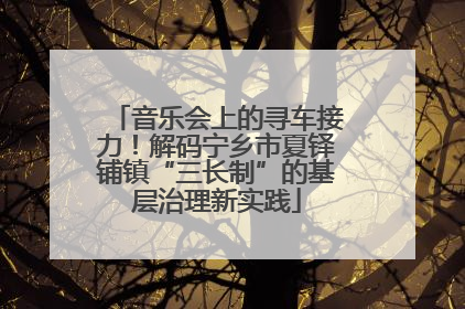 音乐会上的寻车接力！解码宁乡市夏铎铺镇“三长制”的基层治理新实践
