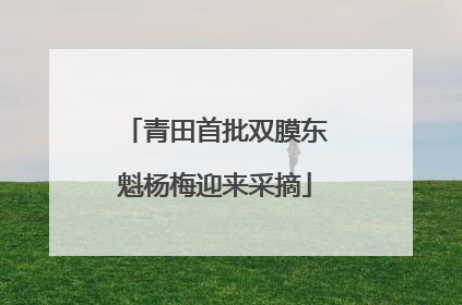 青田首批双膜东魁杨梅迎来采摘