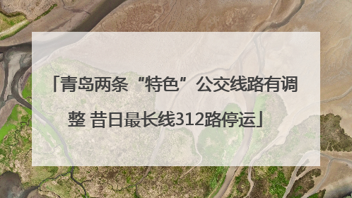 青岛两条“特色”公交线路有调整 昔日最长线312路停运