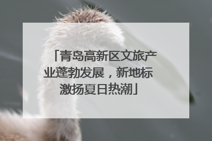 青岛高新区文旅产业蓬勃发展，新地标激扬夏日热潮
