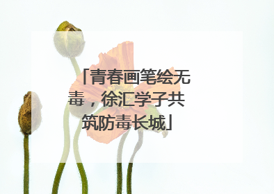 青春画笔绘无毒，徐汇学子共筑防毒长城