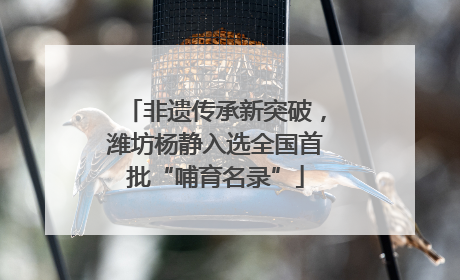 非遗传承新突破，潍坊杨静入选全国首批“哺育名录”