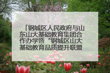 钢城区人民政府与山东山大基础教育集团合作办学暨“钢城区山大基础教育品质提升联盟”签约揭牌活动举行