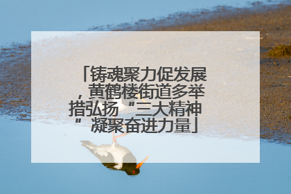 铸魂聚力促发展，黄鹤楼街道多举措弘扬“三大精神”凝聚奋进力量