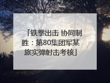 铁拳出击 协同制胜：第80集团军某旅实弹射击考核