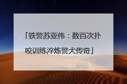 铁警苏亚伟：数百次扑咬训练淬炼警犬传奇