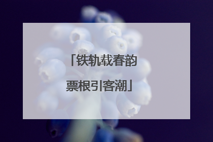 铁轨载春韵 票根引客潮
