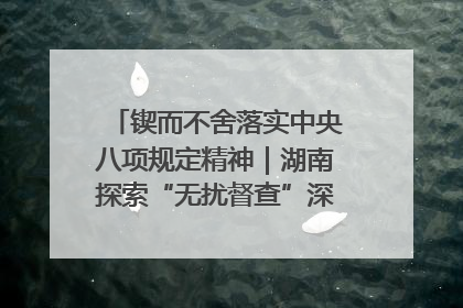 锲而不舍落实中央八项规定精神｜湖南探索“无扰督查”深化基层减负