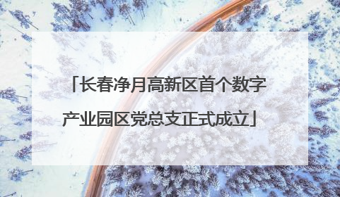 长春净月高新区首个数字产业园区党总支正式成立