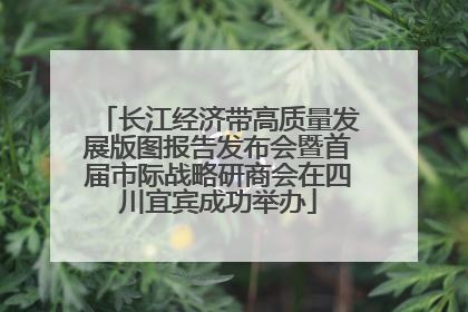 长江经济带高质量发展版图报告发布会暨首届市际战略研商会在四川宜宾成功举办