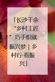 长沙千余“乡村工匠”巧手织就振兴梦｜乡村行·看振兴