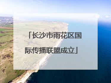 长沙市雨花区国际传播联盟成立