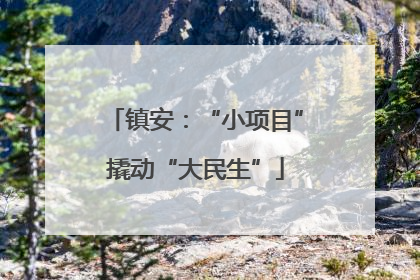 镇安：“小项目”撬动“大民生”