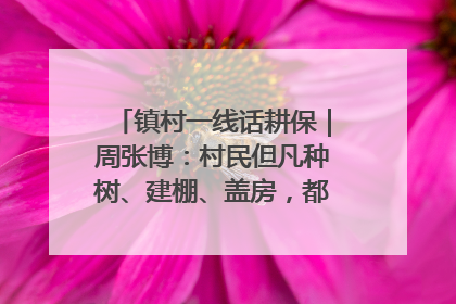 镇村一线话耕保｜周张博：村民但凡种树、建棚、盖房，都要向街道报批