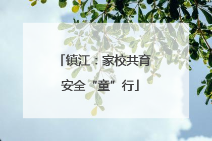 镇江：家校共育 安全“童”行