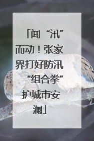 闻“汛”而动！张家界打好防汛“组合拳” 护城市安澜