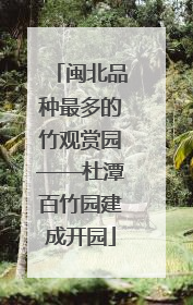 闽北品种最多的竹观赏园——杜潭百竹园建成开园