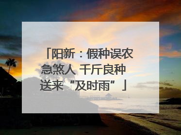 阳新：假种误农急煞人 千斤良种送来“及时雨”