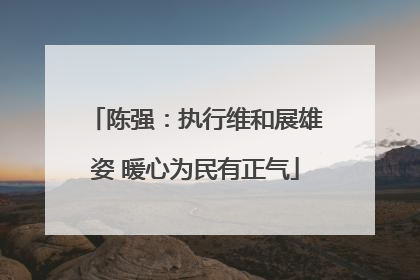 陈强：执行维和展雄姿 暖心为民有正气