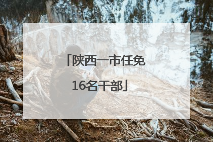 陕西一市任免16名干部