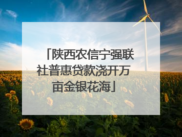 陕西农信宁强联社普惠贷款浇开万亩金银花海