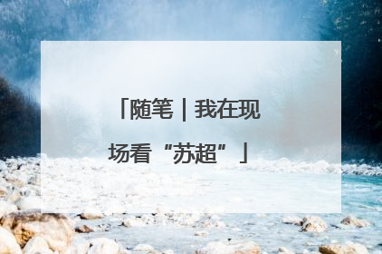 随笔｜我在现场看“苏超”