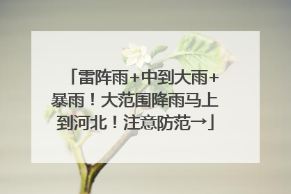 雷阵雨+中到大雨+暴雨！大范围降雨马上到河北！注意防范→