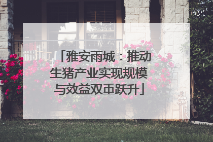 雅安雨城：推动生猪产业实现规模与效益双重跃升