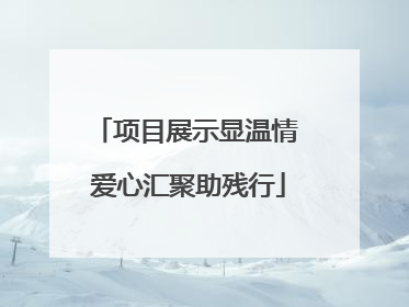 项目展示显温情 爱心汇聚助残行
