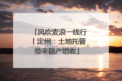 风吹麦浪一线行丨定州：土地托管带来稳产增收
