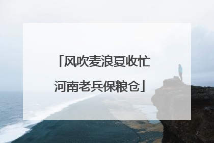风吹麦浪夏收忙 河南老兵保粮仓