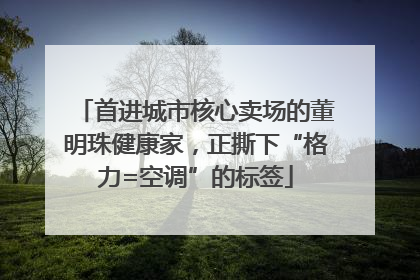 首进城市核心卖场的董明珠健康家，正撕下“格力=空调”的标签