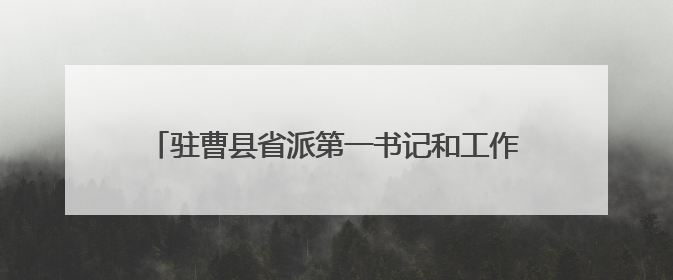 驻曹县省派第一书记和工作队：粽情端午·暖心帮扶