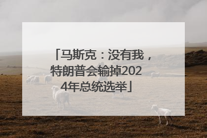 马斯克：没有我，特朗普会输掉2024年总统选举