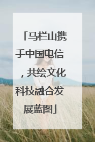马栏山携手中国电信，共绘文化科技融合发展蓝图