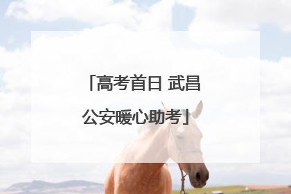 高考首日 武昌公安暖心助考