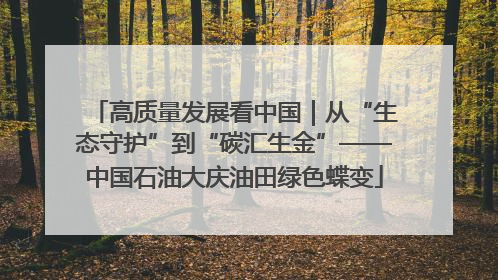 高质量发展看中国｜从“生态守护”到“碳汇生金”——中国石油大庆油田绿色蝶变