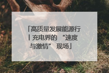 高质量发展能源行丨充电界的 “速度与激情” 现场