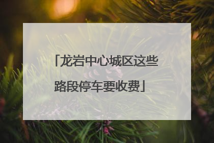龙岩中心城区这些路段停车要收费
