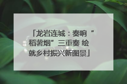 龙岩连城：奏响“稻薯烟”三重奏 绘就乡村振兴新图景