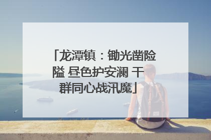 龙潭镇：锄光凿险隘 昼色护安澜 干群同心战汛魔