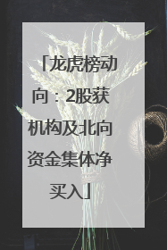 龙虎榜动向：2股获机构及北向资金集体净买入