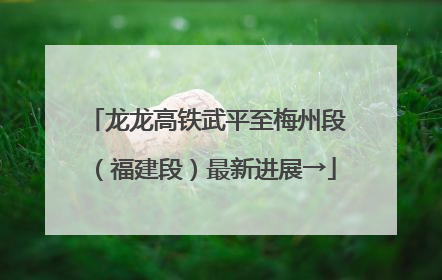龙龙高铁武平至梅州段（福建段）最新进展→