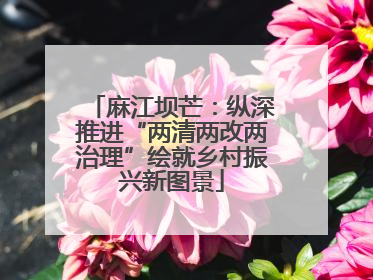 麻江坝芒：纵深推进“两清两改两治理”绘就乡村振兴新图景